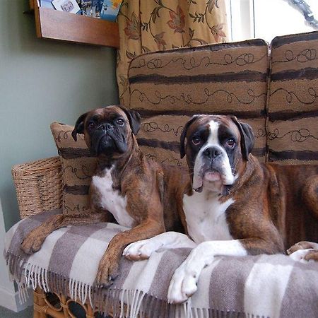 Drynachan Bed & Breakfast Inverness Buitenkant foto