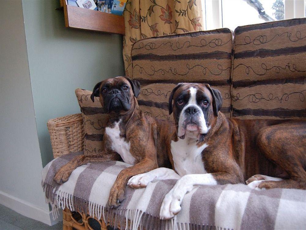 Drynachan Bed & Breakfast Inverness Buitenkant foto
